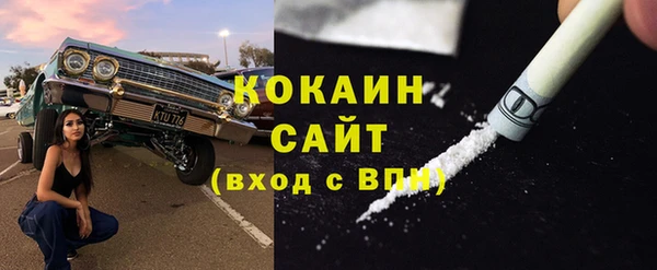индика Баксан