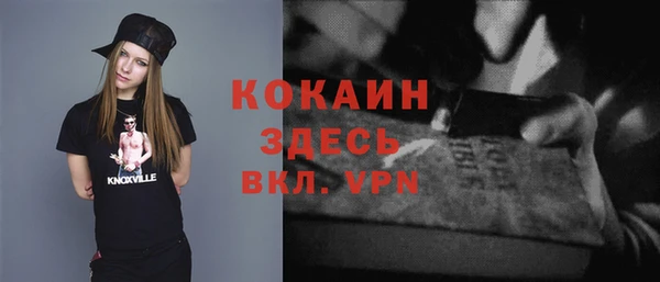 индика Баксан