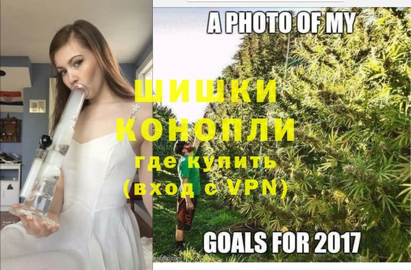 индика Баксан