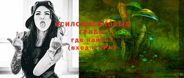 индика Баксан