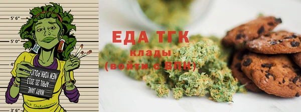 индика Баксан