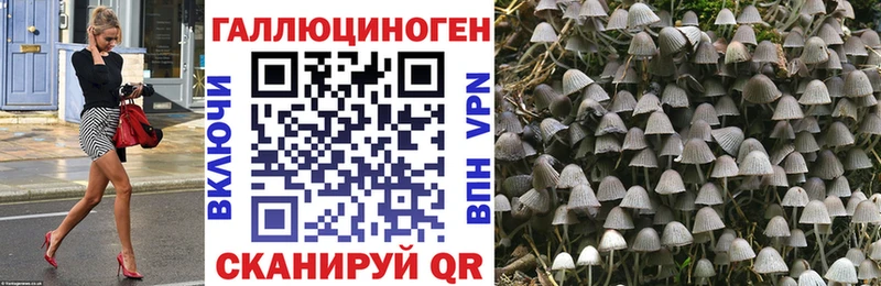 Псилоцибиновые грибы мухоморы Бор