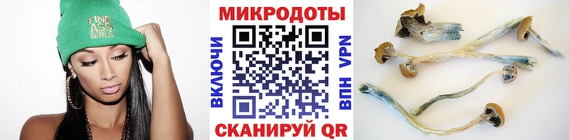 Галлюциногенные грибы прущие грибы хочу наркоту Бор