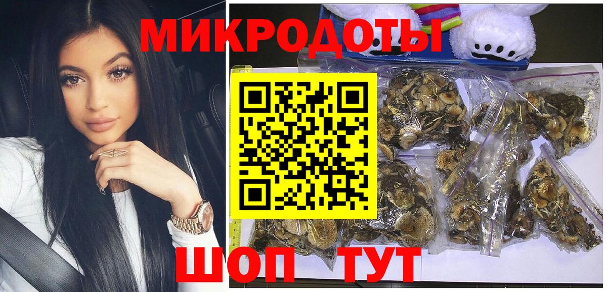 Псилоцибиновые грибы Psilocybe  Бор 