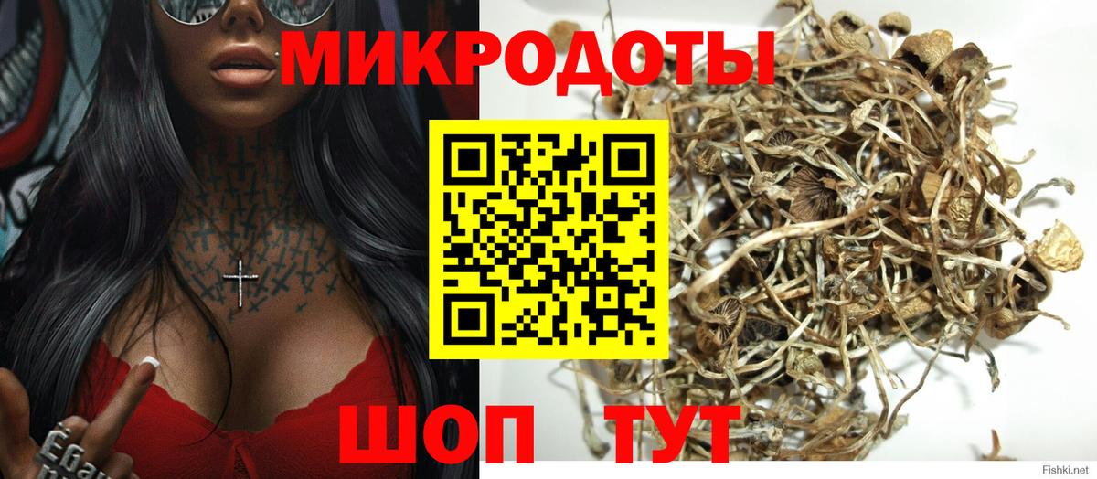 Псилоцибиновые грибы Cubensis Бор