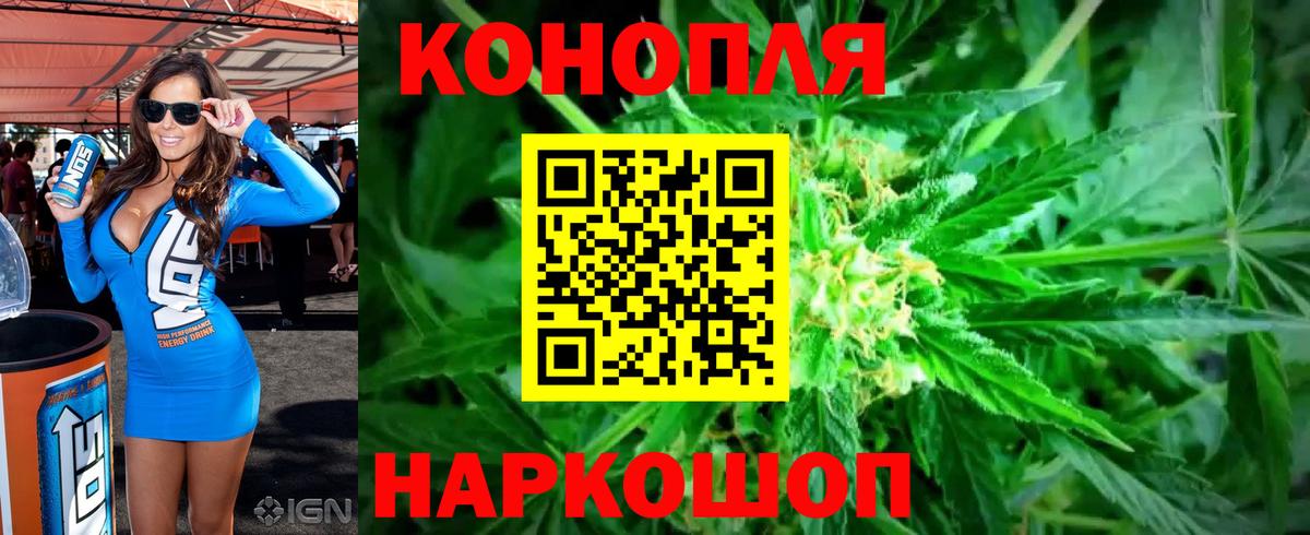 Каннабис White Widow Бор